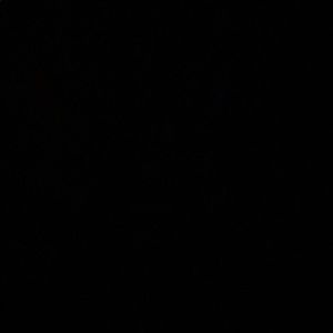 Meet your Posher, Layla